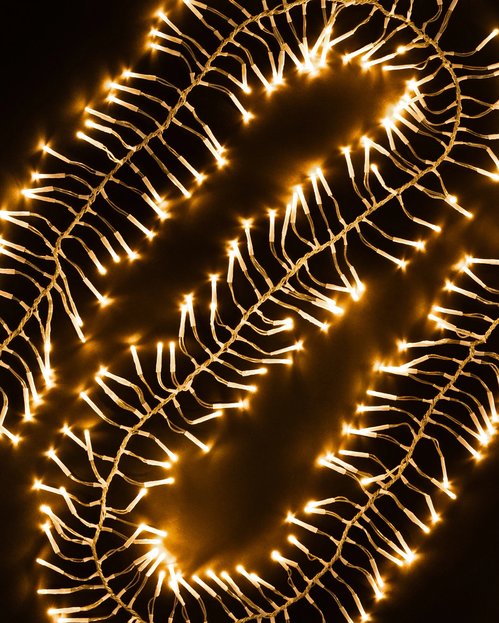 Warm White Cluster LED Christmas Light String With Clear Cord Balsam Hill warm-white-cluster-led-christmas-light-string-with-clear-cord-balsam-hill
