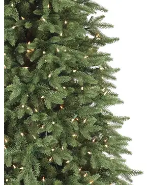 Stratford Spruce Stratford Spruce