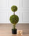 Outdoor Double Ball Boxwood Topiary by Balsam Hill SSC