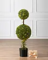 Outdoor Double Ball Boxwood Topiary by Balsam Hill SSC