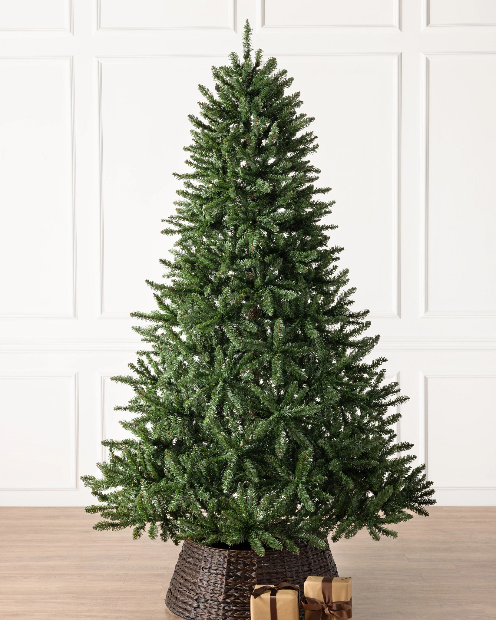 Classic Evergreen Spruce