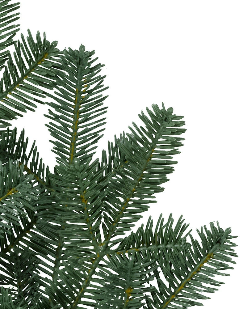 Sapin baumier étroit
