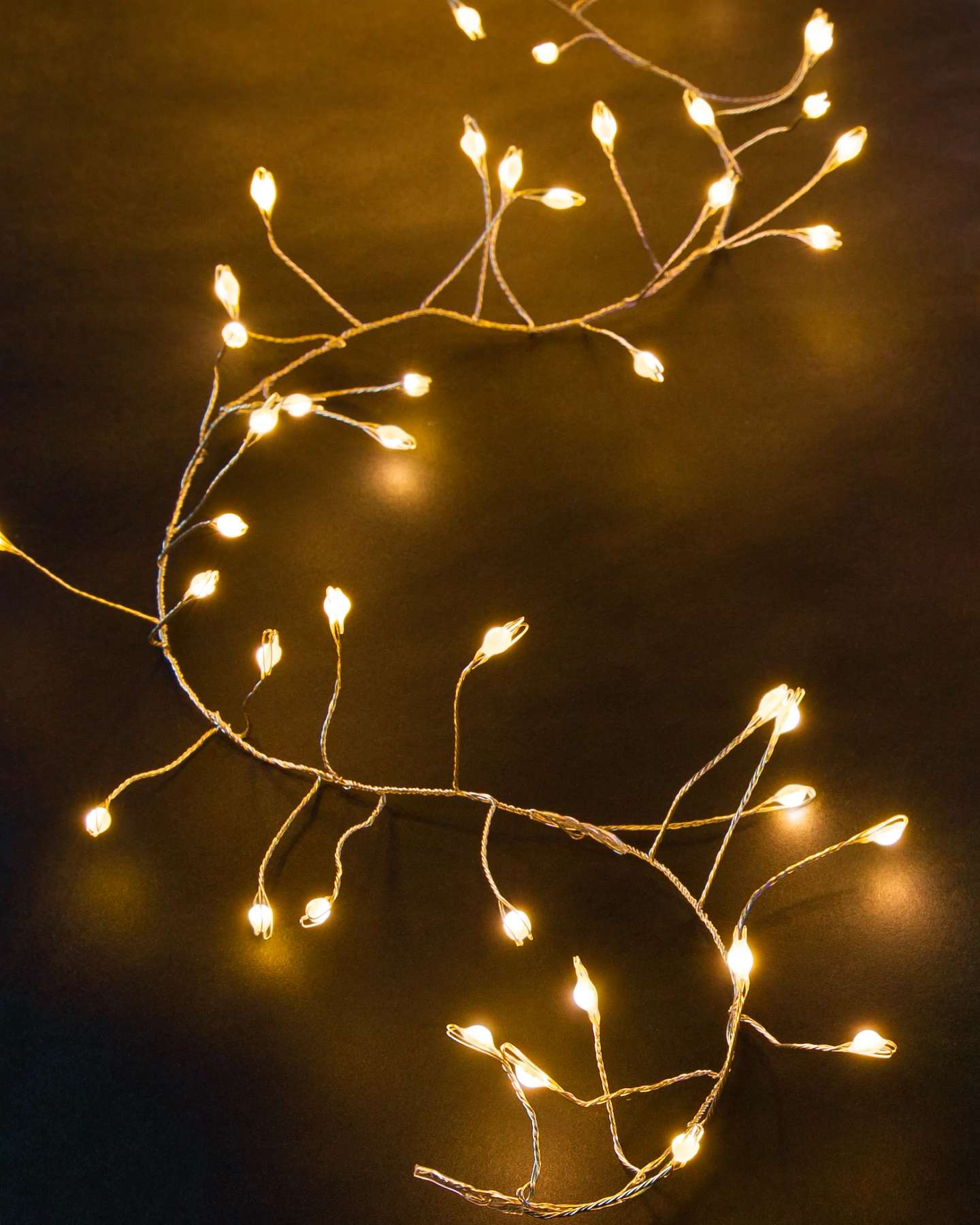 Balsam Hill 20-Foot Warm White Cluster Large Fairy Light String Product Display
