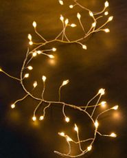 Fairy light string with clear bulbs