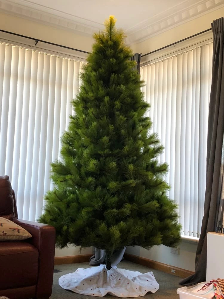 Monterey Pine Balsam Hill