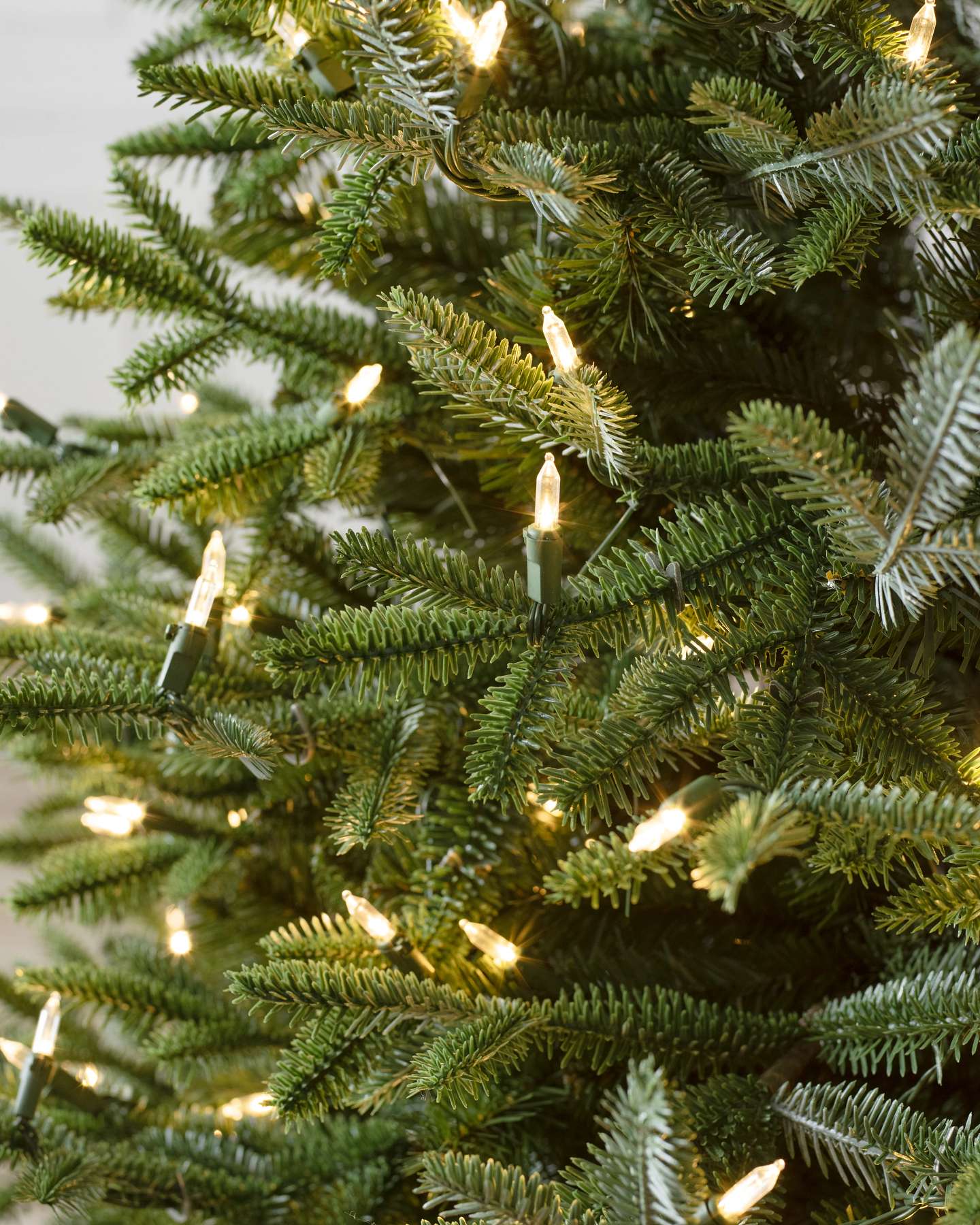 European Silver Fir by Balsam Hill Closeup 20