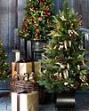 Coloma Golden Pine Potted Tree by Balsam Hill Lifestyle 10