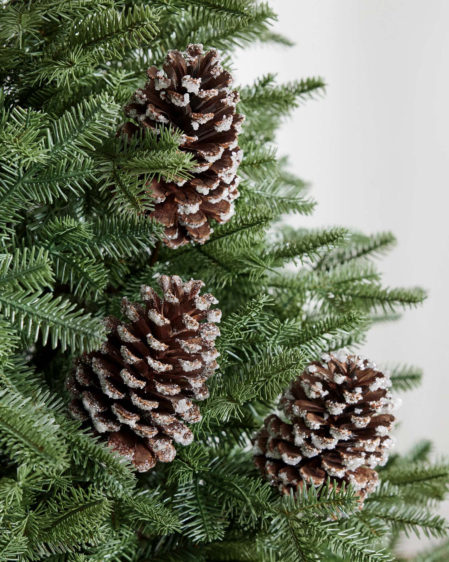 Balsam Hill Snowy Pinecone Picks Set of 12 on a White Background