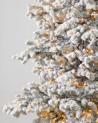 Frosted Yukon Spruce Artificial Christmas Trees | Balsam Hill