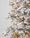 Frosted Yukon Spruce by Balsam Hill Closeup 10