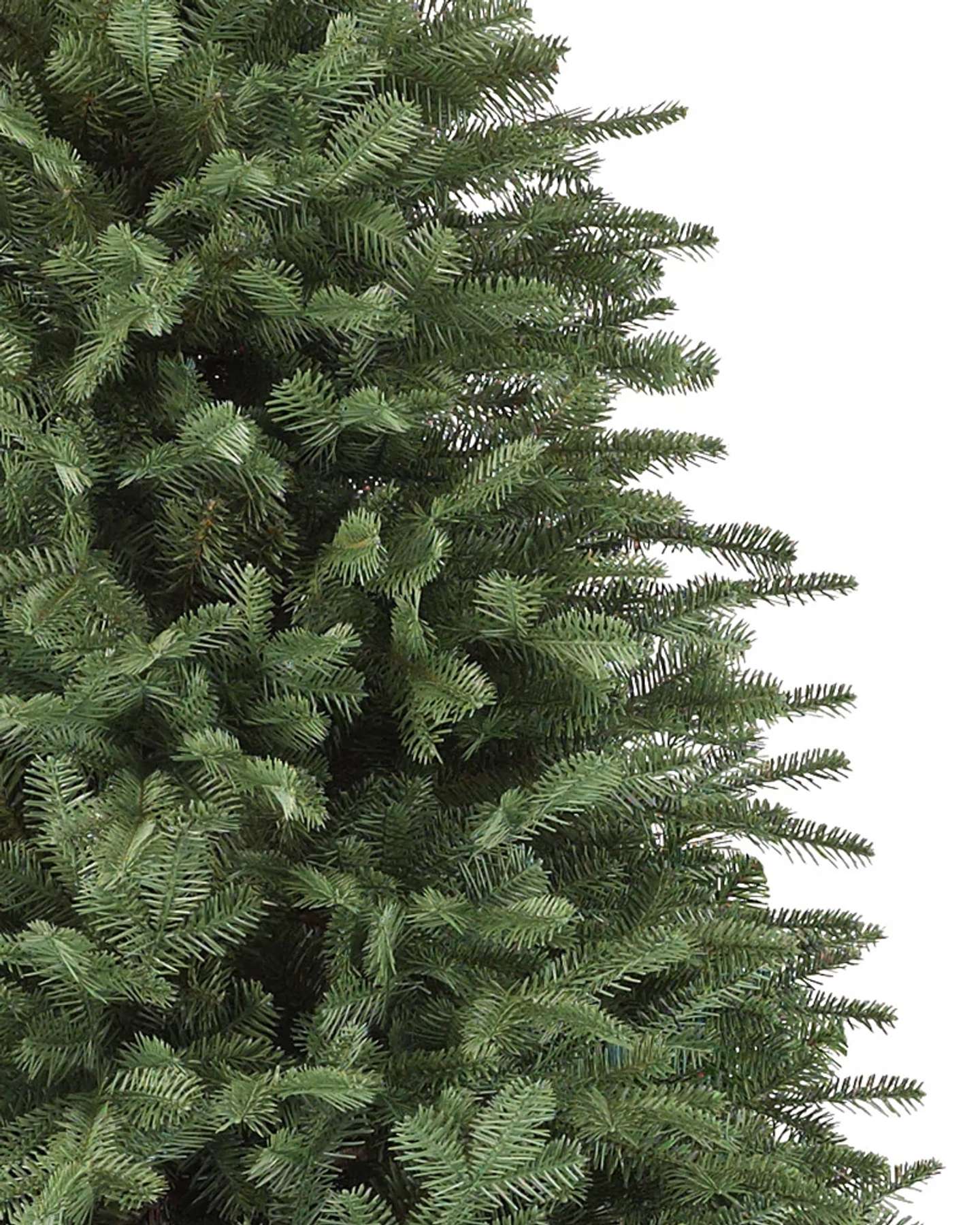 Balsam Hill Branch Sample Kit Balsam Fir Artificial Christmas Tree Close-Up