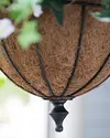 Outdoor Radiant Peony Hanging Basket by Balsam Hill Closeup 30