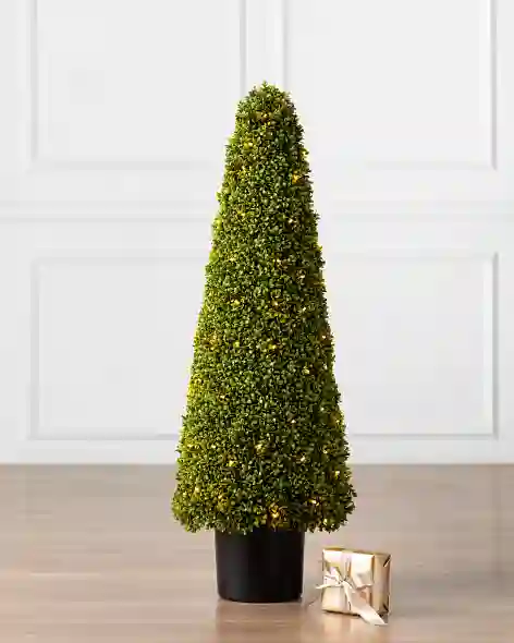 Outdoor Boxwood Cone Topiary by Balsam Hill