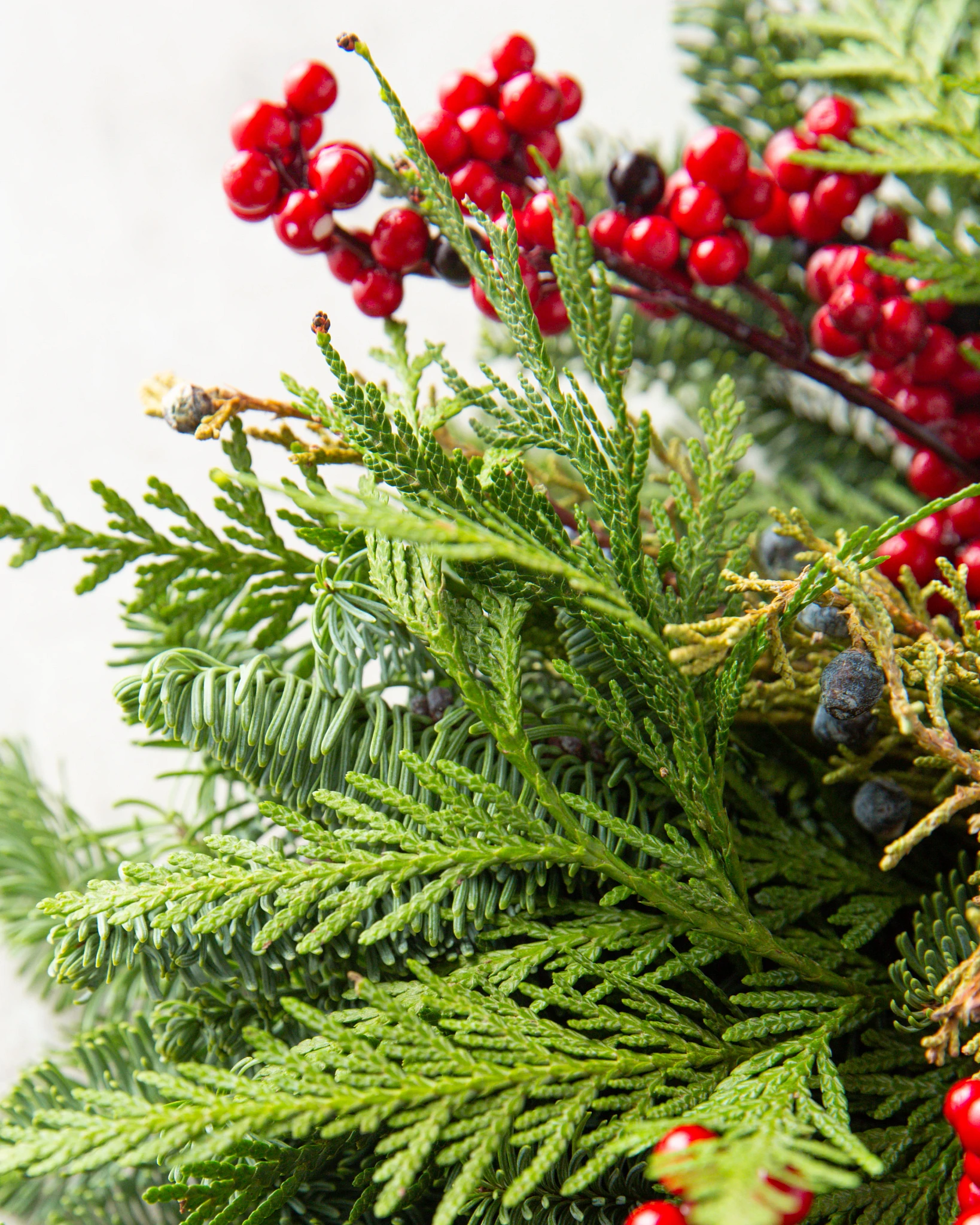 Cedar and noble fir foliage