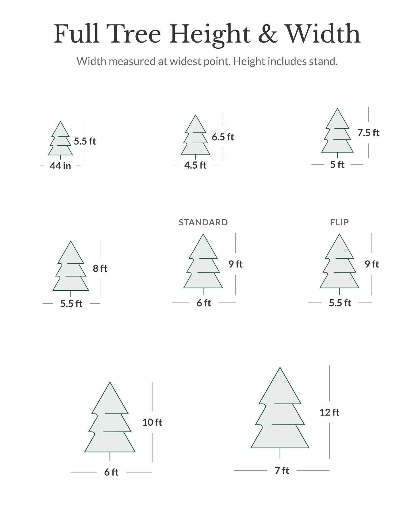 BH Balsam Fir