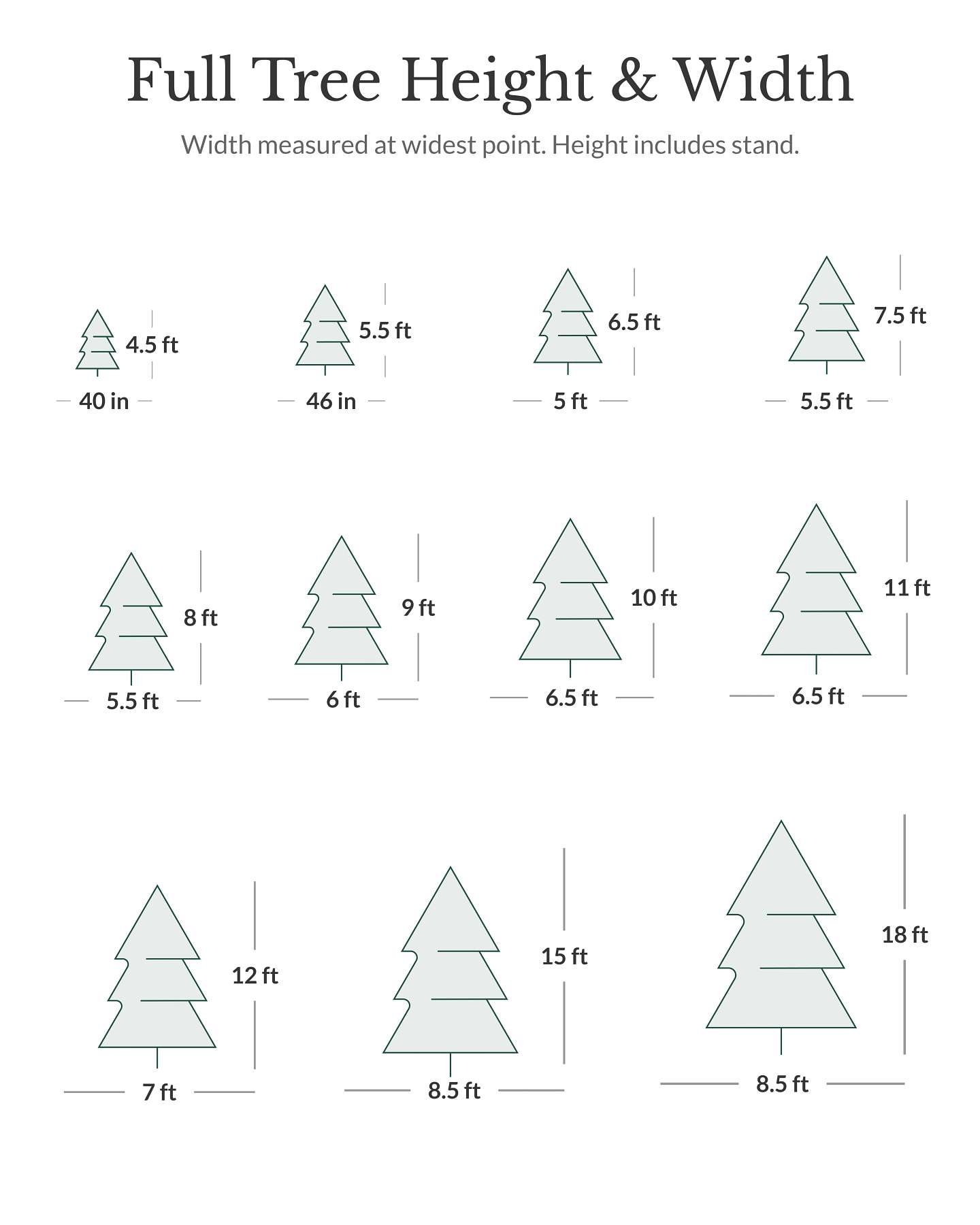 Vermont White Spruce