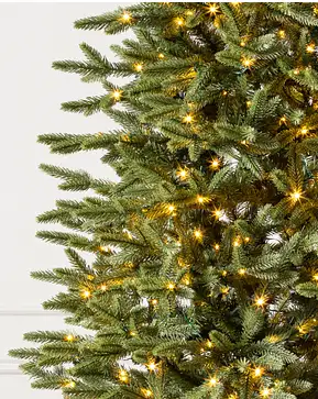 Sapin Silverado mince Sapin Silverado mince