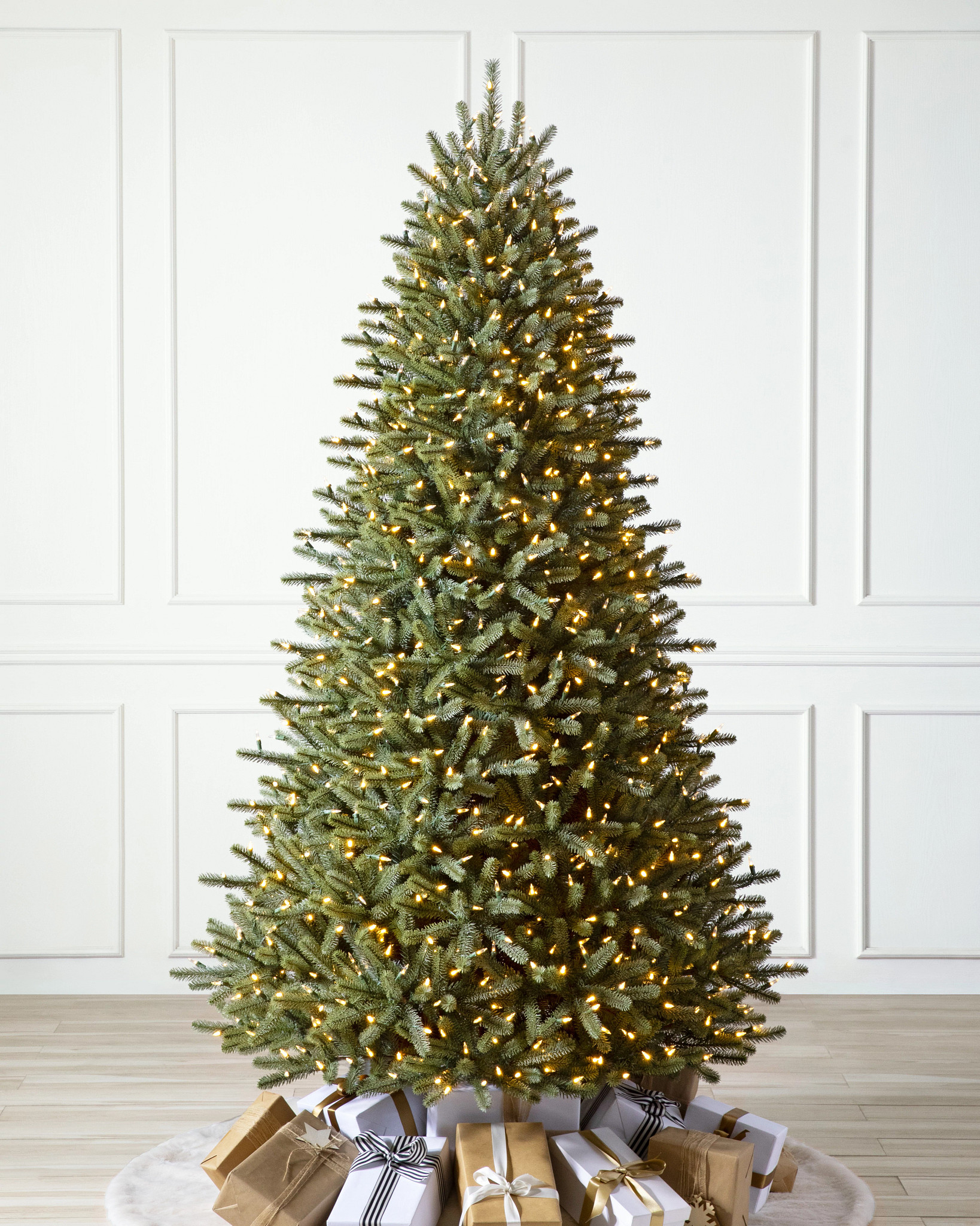 Royal Blue Spruce