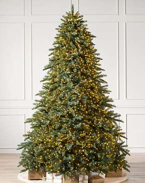 Aspen Estate Fir Aspen Estate Fir