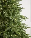 Saratoga Spruce Candlelight Clear LED Lights by Balsam Hill Closeup 10