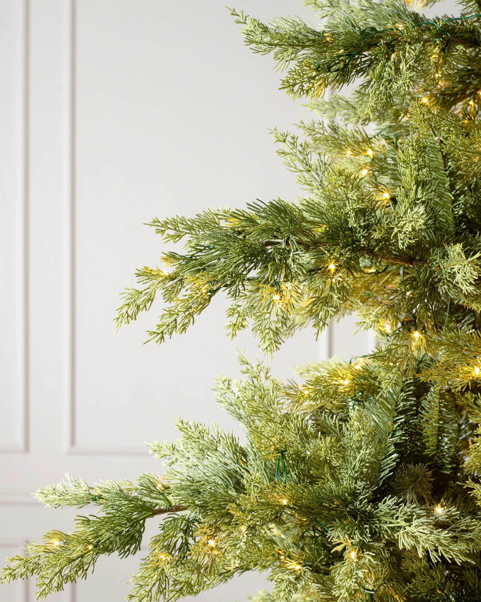Grand Canyon Cedar