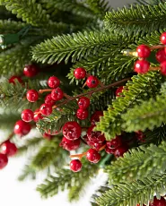Close up of Most Realistic foliage