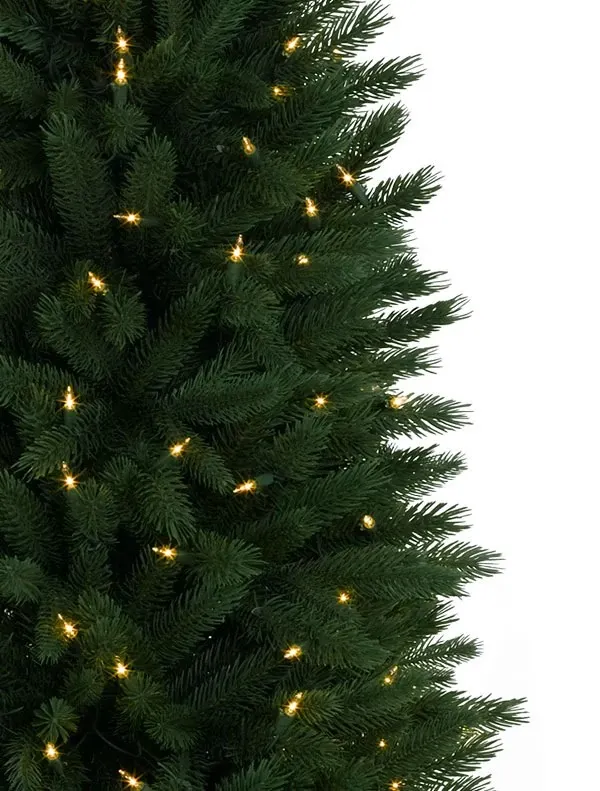 Rutherford Fir Potted Tree