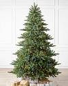 Biltmore Spruce by Balsam Hill Color + Clear LED SSC