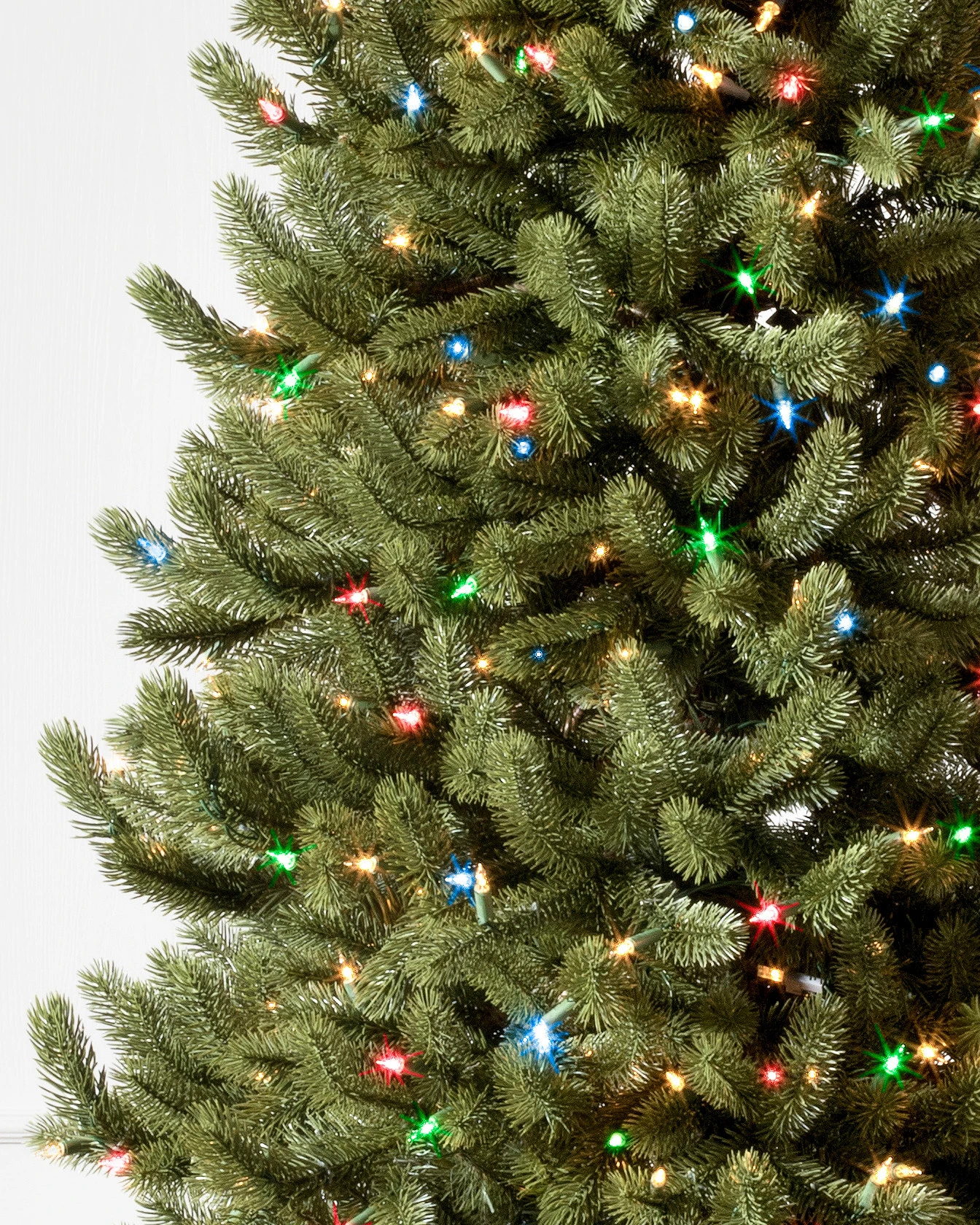 Vermont White Spruce Narrow