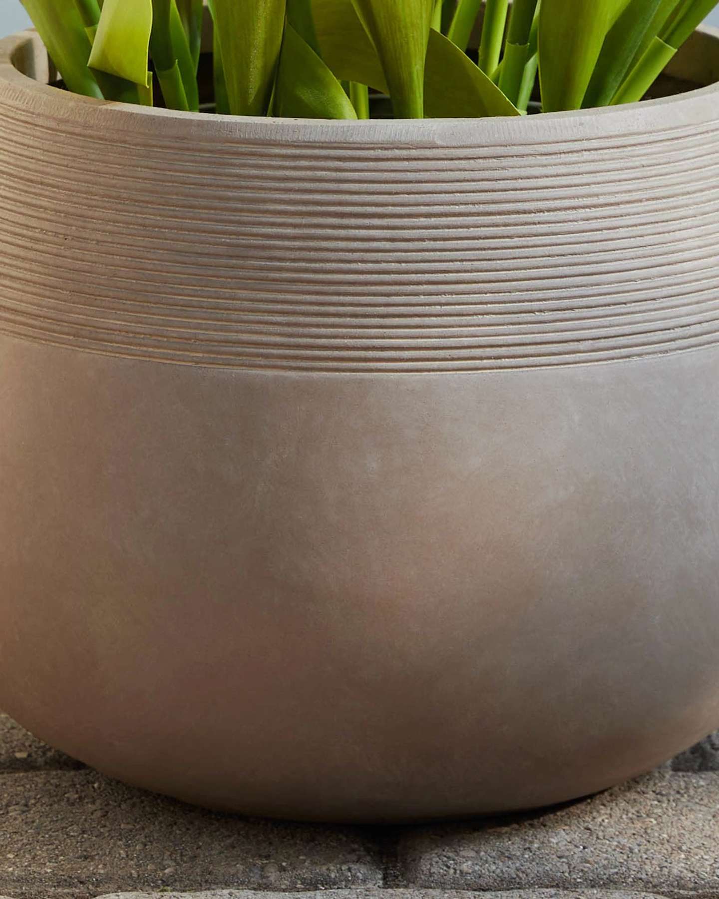 Balsam Hill Beige Outdoor Corinthian Planter 14-Inch Closeup