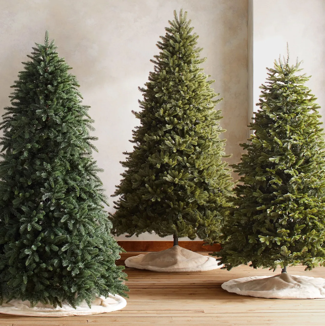 Shop Trees