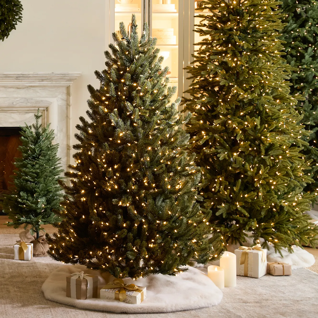 Découvrez nos sapins