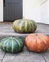 Rustic Heirloom Pumpkins Set of 3 by Balsam Hill Lifestyle 30