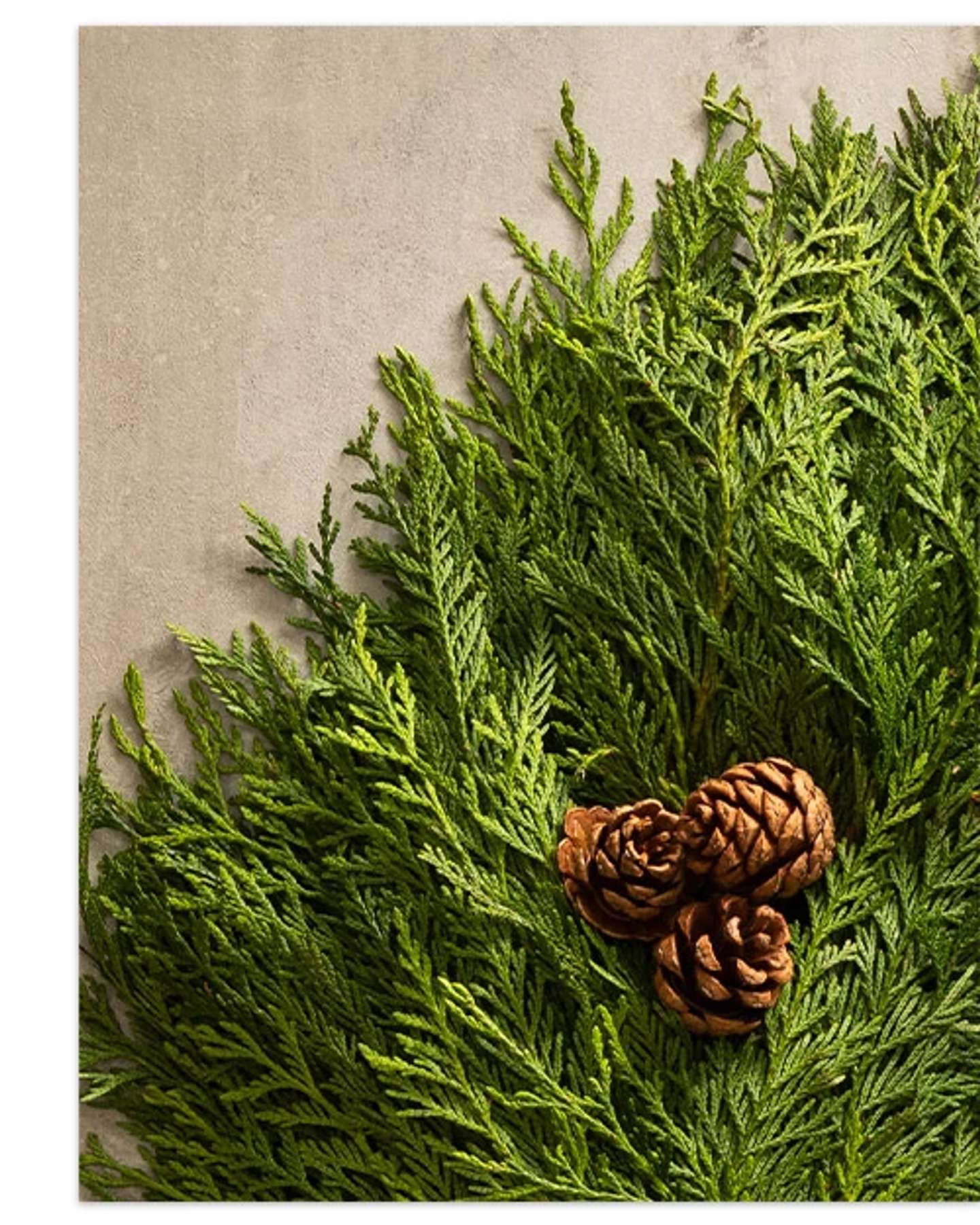 Balsam Hill Fresh Wispy Cedar Christmas Wreath Product Display