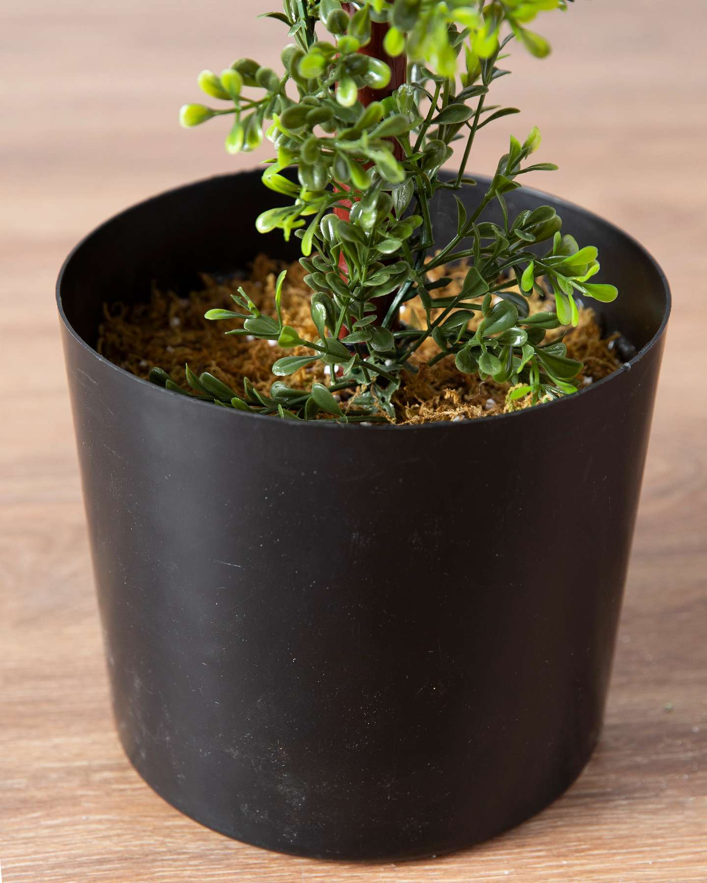 Balsam Hill Outdoor Boxwood Artificial Christmas Topiary Stand Special Feature