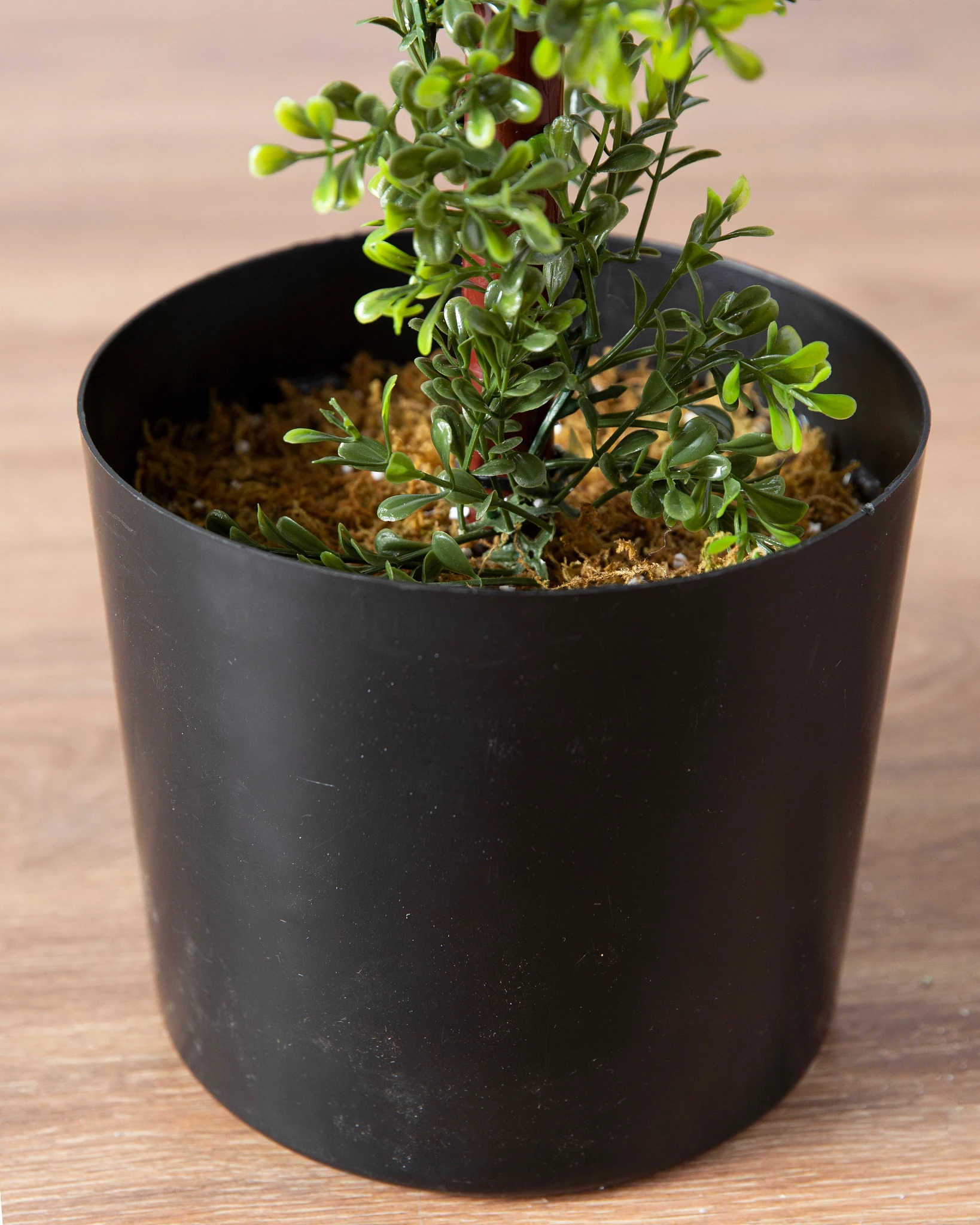 Outdoor Boxwood Artificial Christmas Topiaries | Balsam Hill