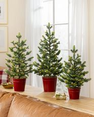 Set of tabletop mini Christmas trees on a sideboard