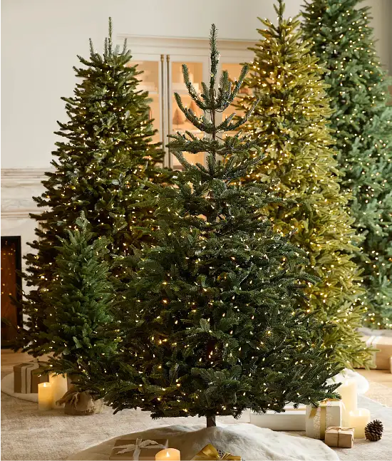 Compare Bestselling Trees