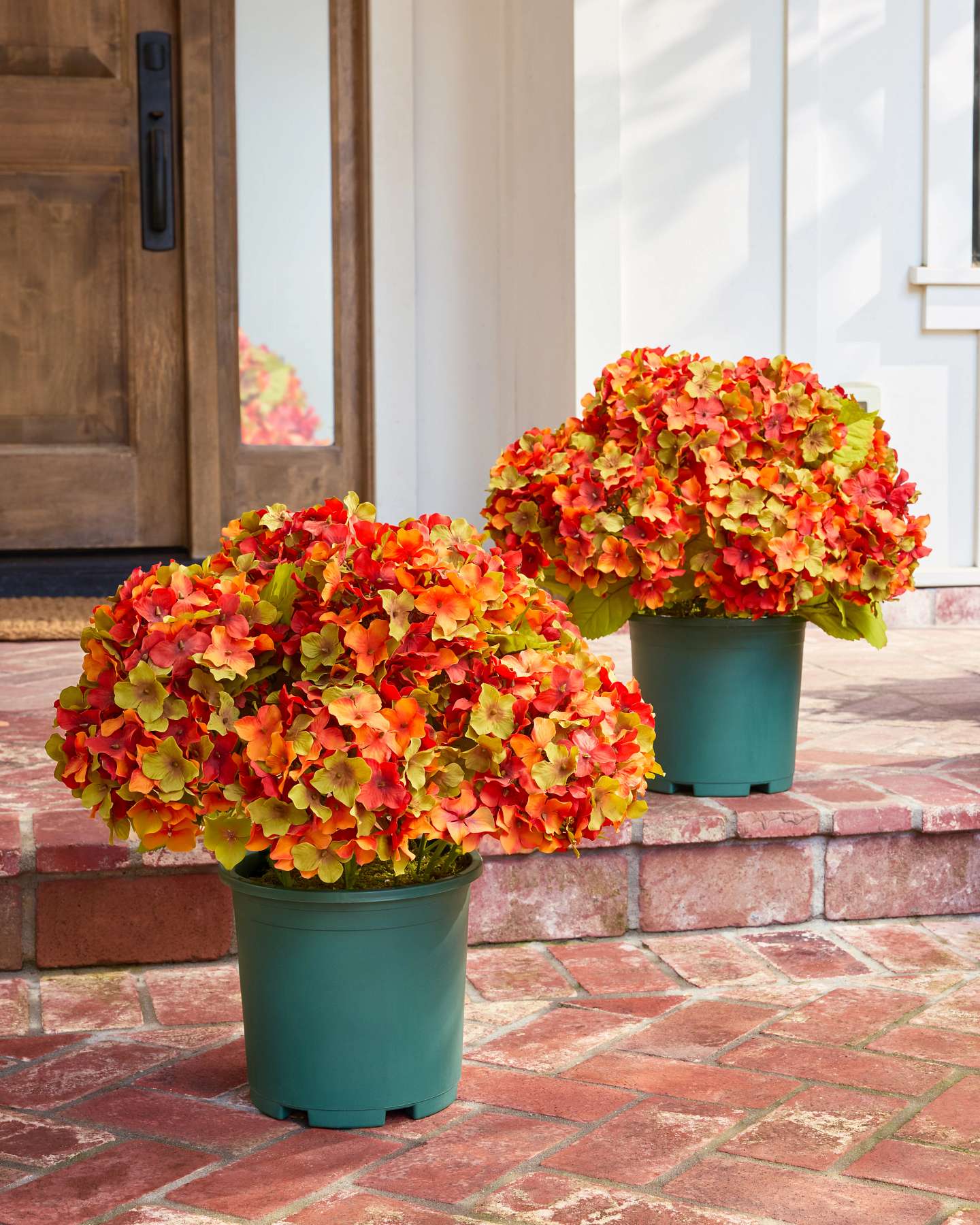 Balsam Hill Rustic Hydrangea Potted Artificial Fall Foliage Set Full View
