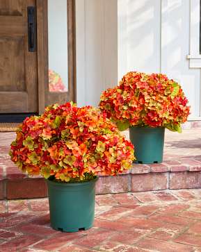 Orange Rustic Hydrangea Pot Filler Set Orange Rustic Hydrangea Pot Filler Set