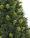 Scotch Pine Tree by Balsam Hill Closeup 40