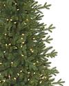 Red Spruce Slim Tree by Balsam Hill Closeup 10
