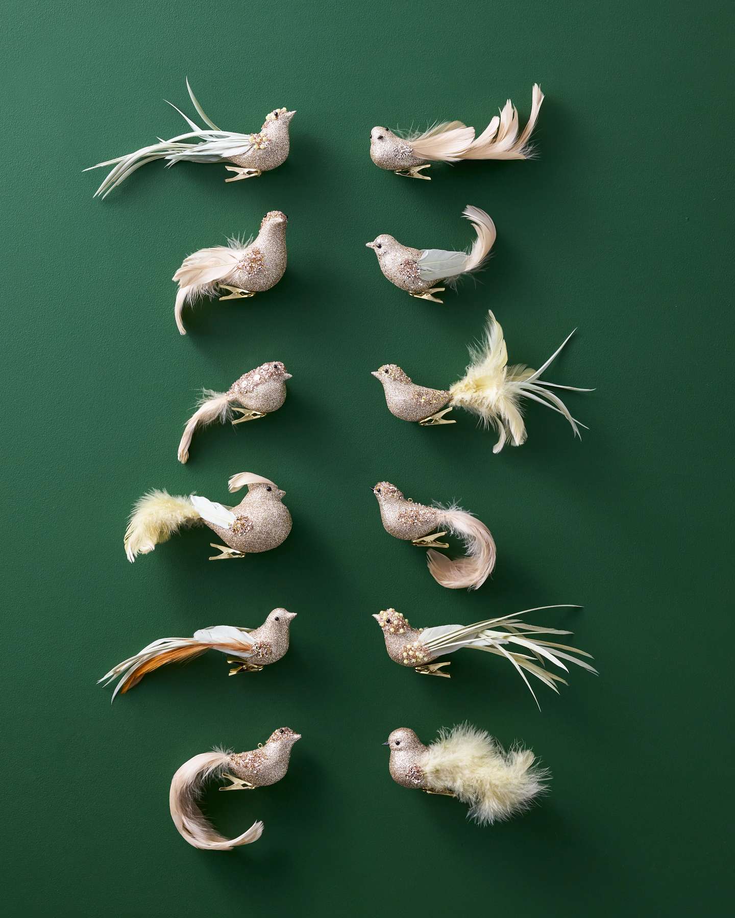 Champagne Gold Feathered Friends Ornaments, Set of 12