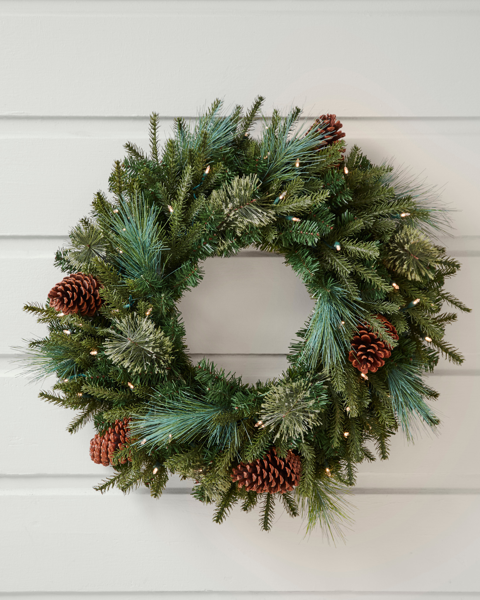 WRG-1441009_Mixed-Evergreen-