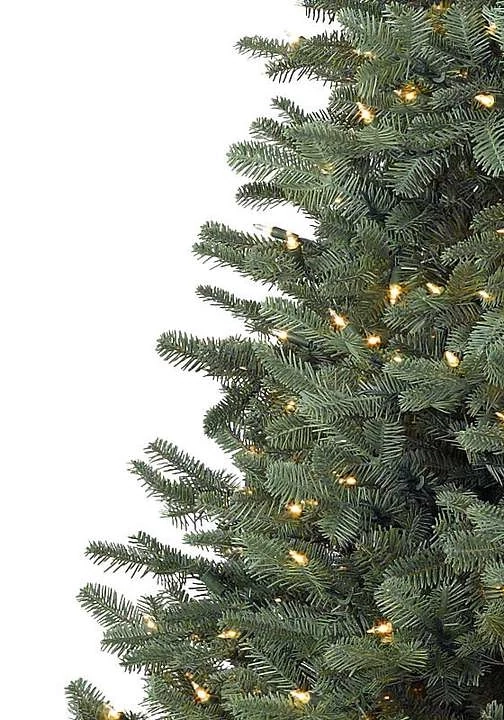 BH Balsam Fir Tree