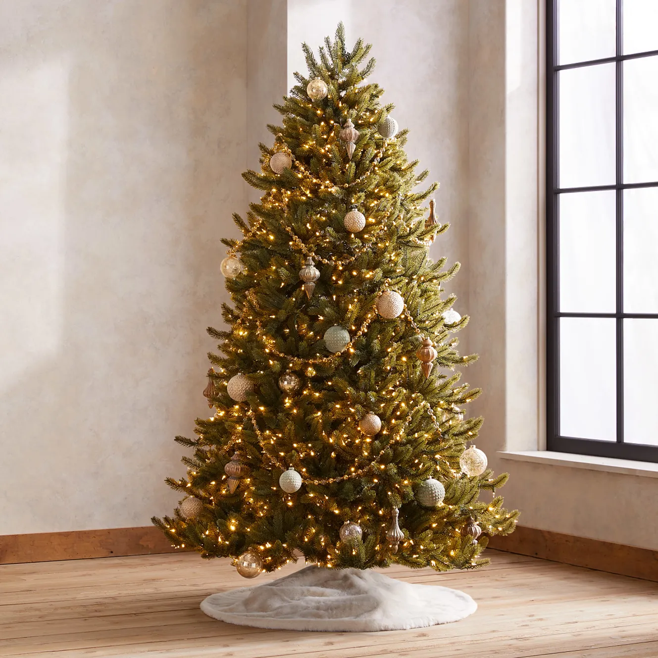 Shop Bestselling Trees