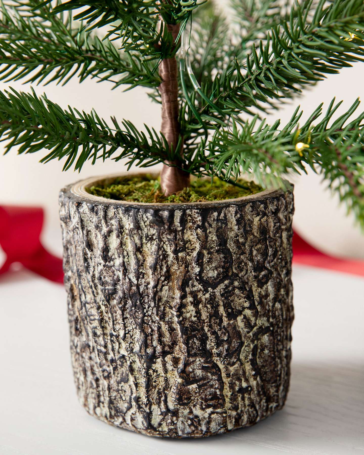 Balsam Hill Evergreen Saplings Tabletop Artificial Christmas Tree Set of 3 Base Closeup
