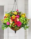 Outdoor Vivid Blooms Hanging Basket by Balsam Hill SSC 10
