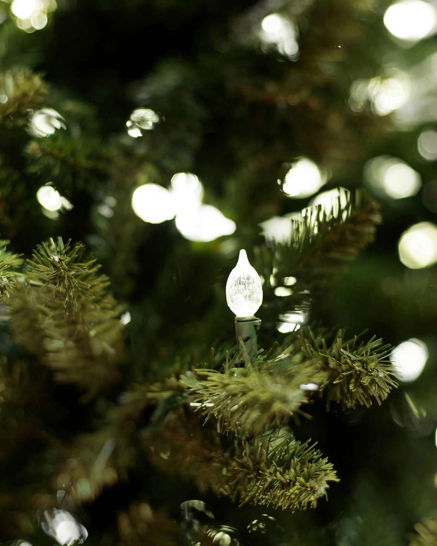 Balsam Hill Rockefeller Pine Artificial Christmas Tree Closeup View