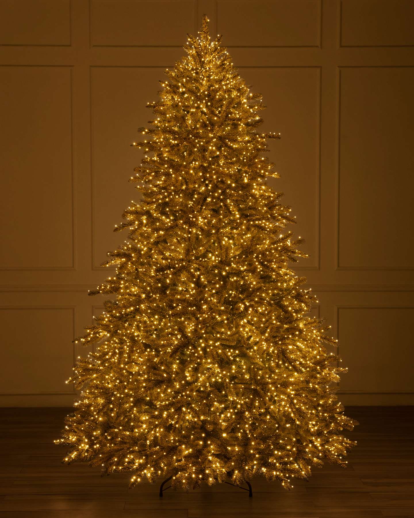 7.5' Golden Aspen Estate Fir